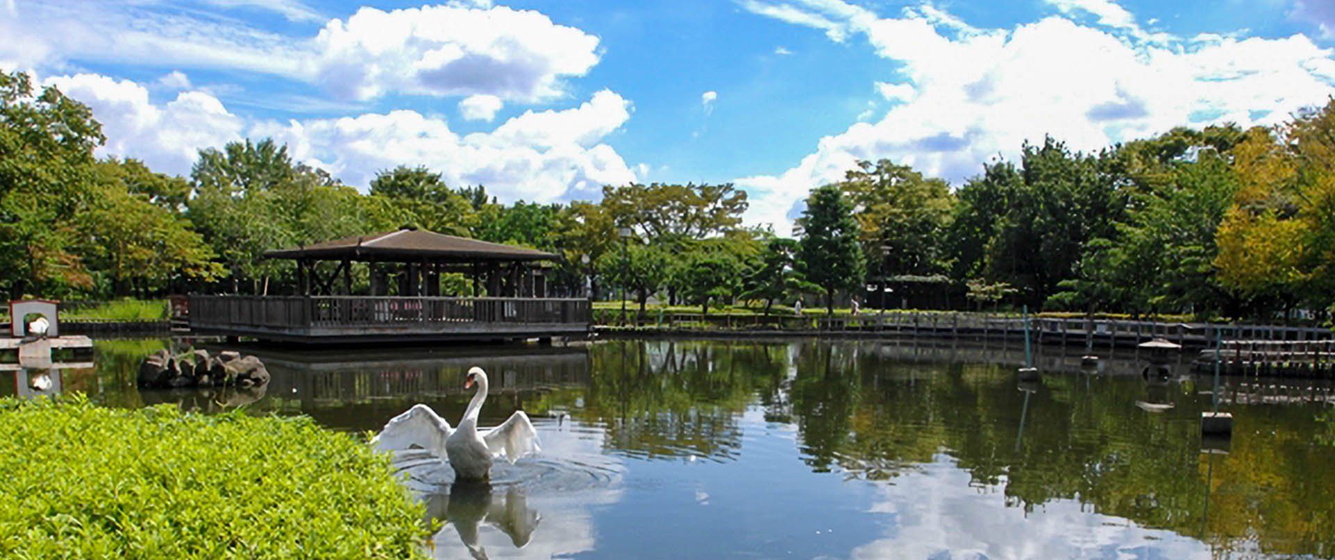 🏞️ 아라카와 자연공원 (아라카와시젠코엔) 이미지 1